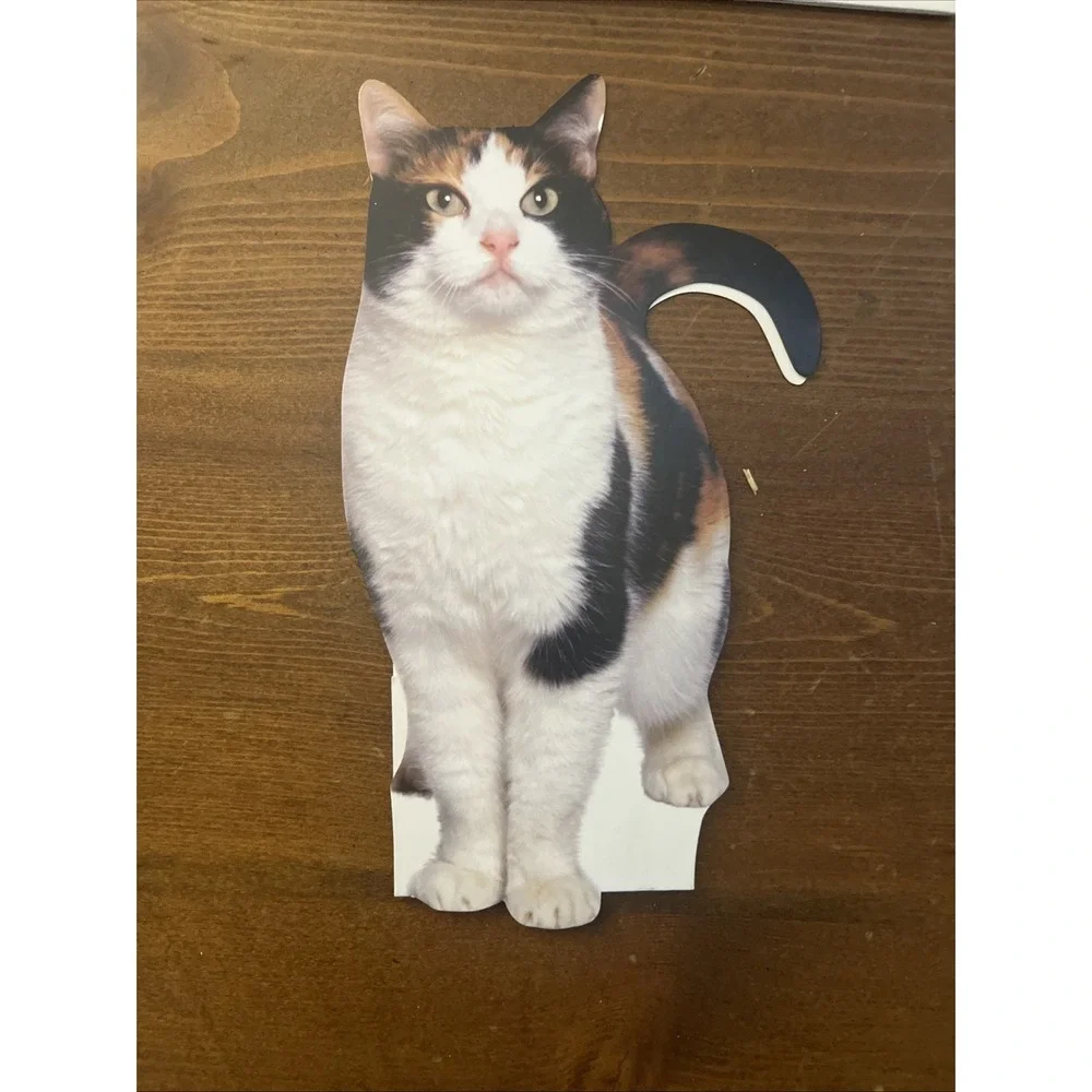 Lot of 8‎ Miscellaneous Cat Greeting Cards